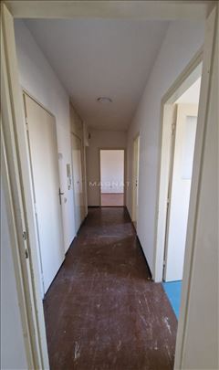 Karađorđev trg sa pogledom na Dunav ID#5377