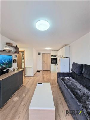 Novi Sad, Sremska Kamenica, Stan, 1.5, 46,00m2