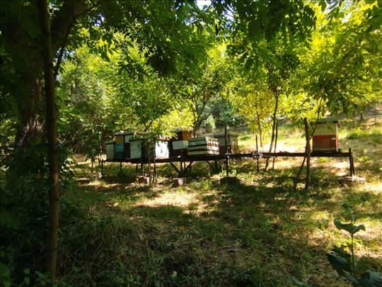 Platforme za selidbu košnica 