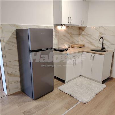 Stan Ledine izdavanje