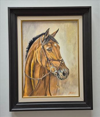 Ulje na platnu - Portret mladog konja, prelepo!