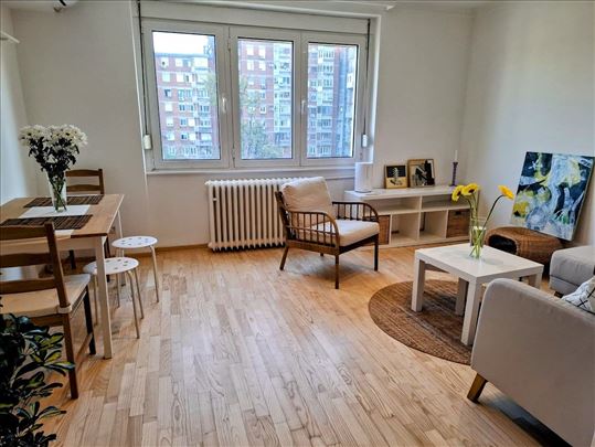 Vračar 3-soban dubinski renoviran stan za rentu