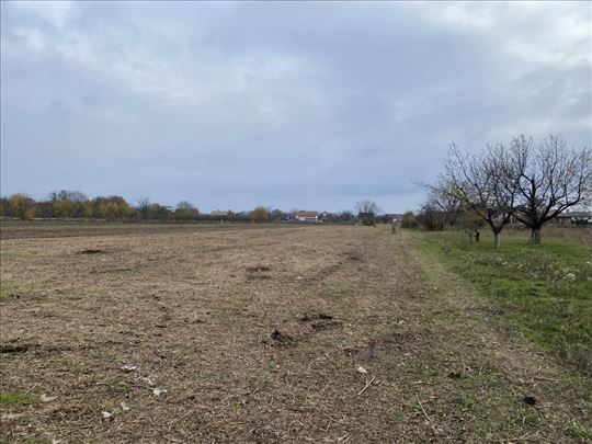 Broker - Kupuješ svoj mir