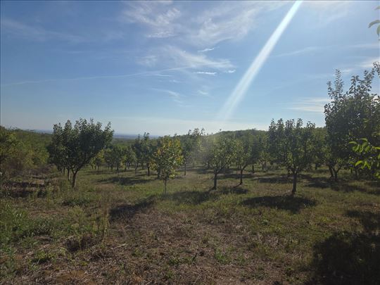 Građevinska lux zona, za investitore