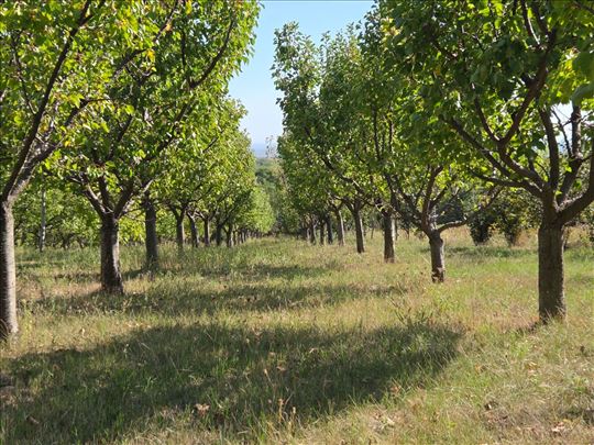 Građevinska lux zona, za investitore