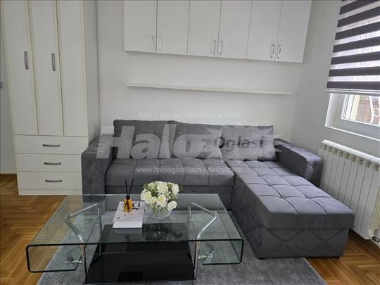 Novi Beograd-Ledine -Valtrovićeva