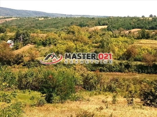 Plac naspram Iriga, Hopovo, potes Seleuš