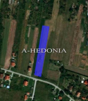 Surčin, Petrovčić, plac 40 ari, uknjižen