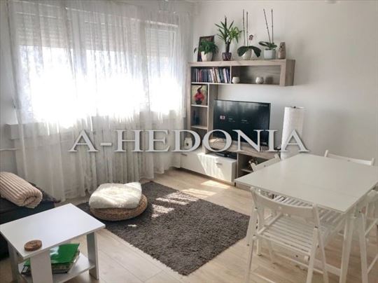 Zemun, Centar, Vrtlarska, 1.5, lux, namešten