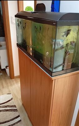 Akvarijum 120l (100x40x30)