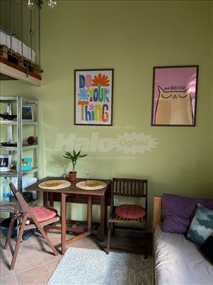 Izdaje se apartman u pesackoj zoni, Zmaj Jovina