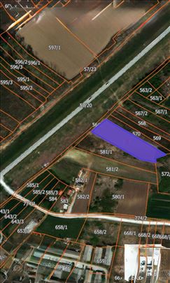 Makiš,33 ara,izuzetna lokacija!