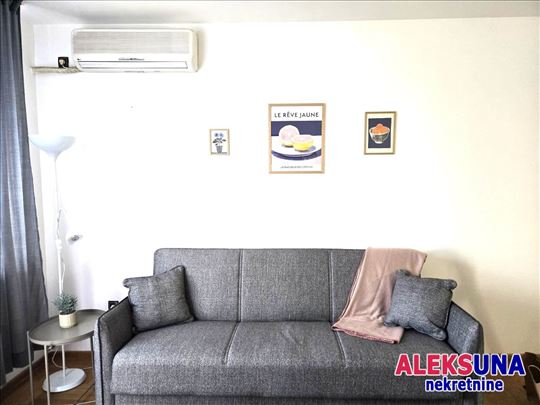 Novi Sad, Cara Dušana, Stan, 0.5, 32,00m2