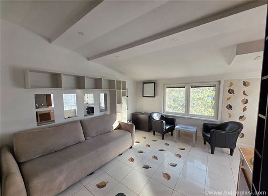 Stan Vracar pet friendly