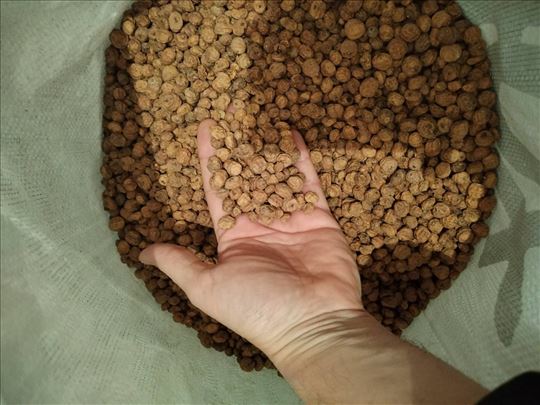 Digrov orah, MIX i HighCaliber