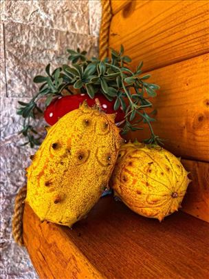 Kivano (africka dinja)