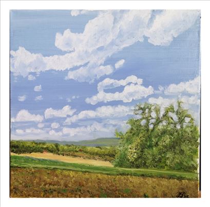 Okolina Velike Plane 