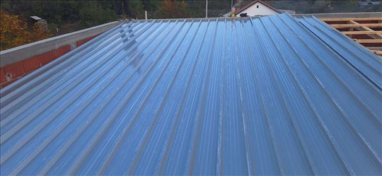 Sanacija i izgradnja krovova