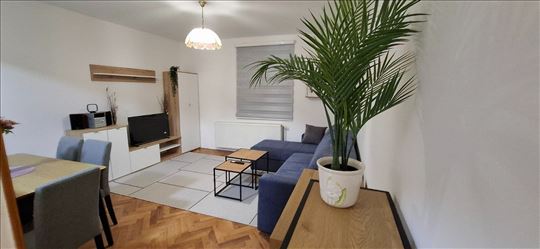 Jednoiposoban stan sa prostranim dvorištem