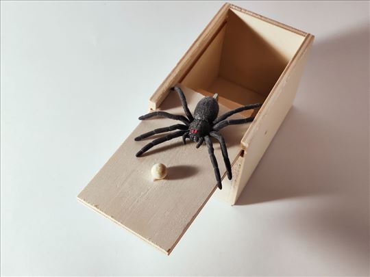 Pauk skriven u kutiji, šala za društvo i porodicu