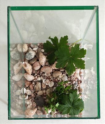 Akvarijum: Odlično stanje, spreman za punjenje