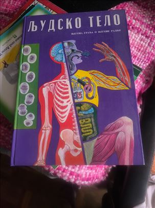 Мичел Вилсон, Људско тело, љегова грађа и његове р