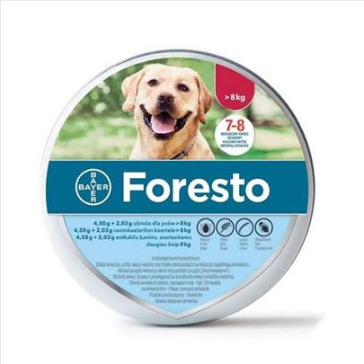 Nova Foresto ogrlica za pse teže od 8kg