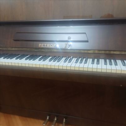 PIJANIO  PETROF TRAZI NOVOG VLASNIKA