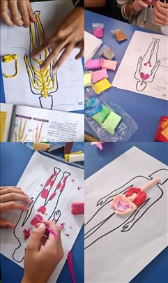 Pripreme za prijemni i časovi iz biologije