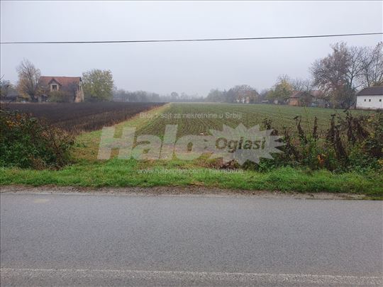 Trstenica plac 74ara Vlasnik!