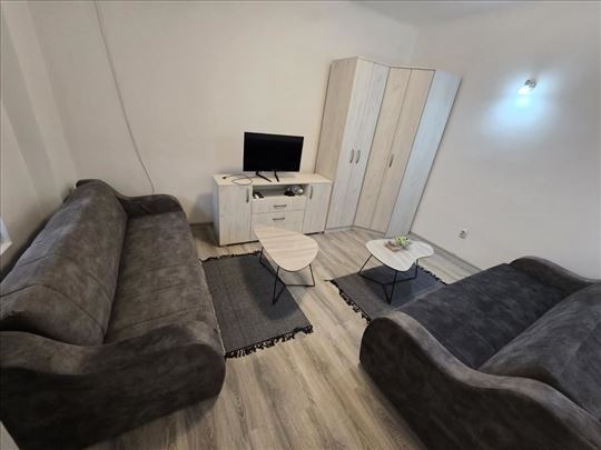 Vojvode Stepe,kod crkve,manji renoviran stan ID#18