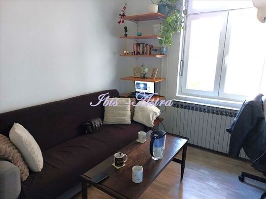 Cvijićeva manji 1,5 stan za izdavanje ID#1109019