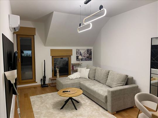 Izdaje se 2.0 stan, Voždovac (Stepina magnolija)