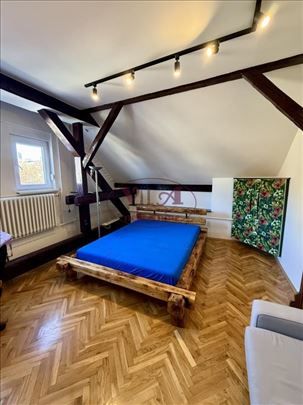 Novi Sad, Centar, lux prostran jednosoban stan u s