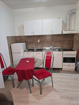 Farmaceutski fakultet, odvojena soba,  28m2