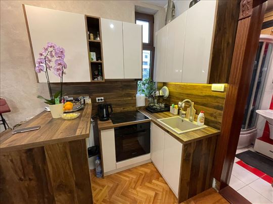 Vračar – Renoviran 1.5 stan, 47m²