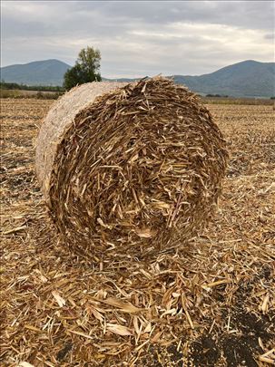 Kukuruzovina na prodaju
