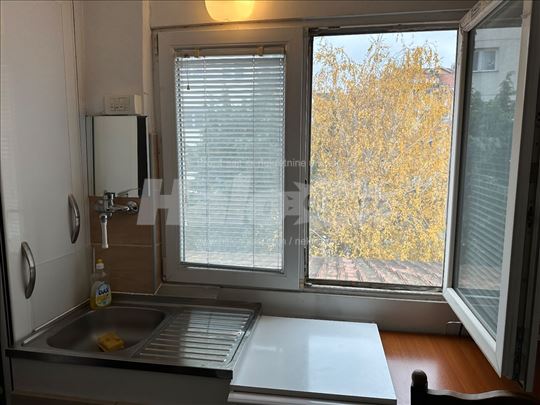 Sime Šolaje , Bogoslovija