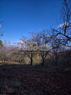 Užice, Gostinica-Buar voćnjak 40ari