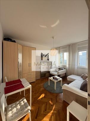 Odlična pet-friendly garsonjera na Slaviji, 24m2