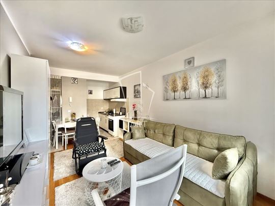 Uknjižen, kompletno opremljen stan ID#12734