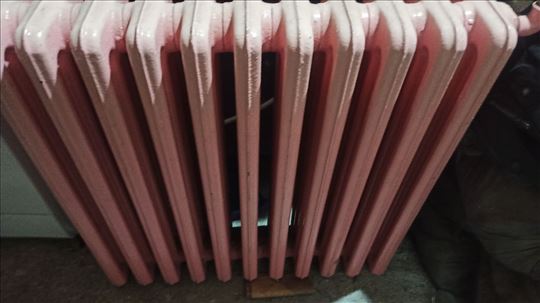 Radijatora gusana 2 kom.