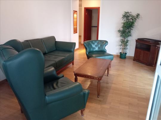 Veliki porodični stan kod Arene