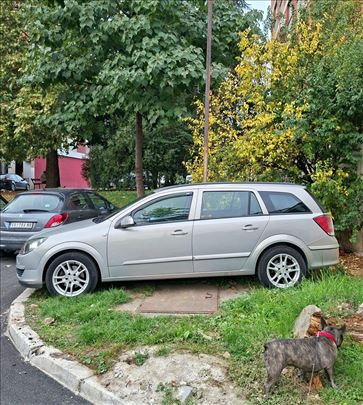 Prevoz kucnih ljubimaca po celoj Srbiji