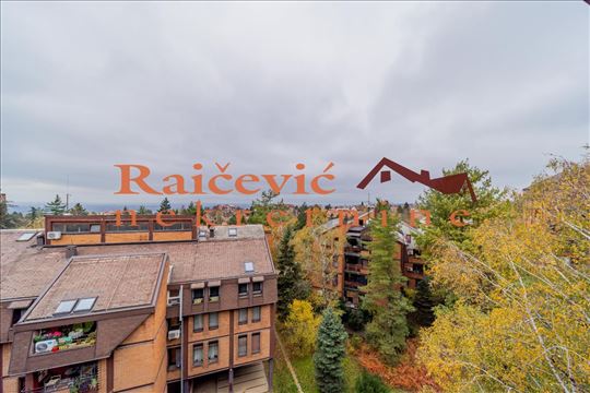 Cerak vinogradi, Breza, 2.0 (adap u 2.5), 59 m2