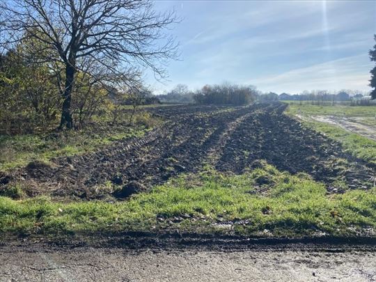 Dobanovci-Plac 30 Ari-Uknjižen ID#3108