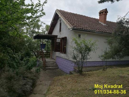 Inđija, Krčedin – Beogradska