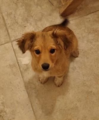 Sasa i Marina stenci na poklon