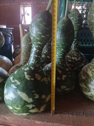 Vrg -gnezda za ptice