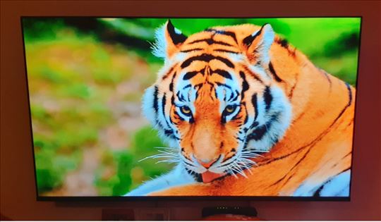 4K Smart Led,58 inch,Racun,Garancija 2028 god